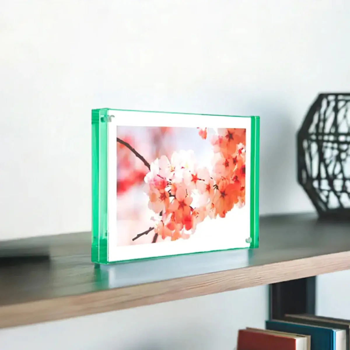 Canetti Color Edge Acrylic Magnet Frame
