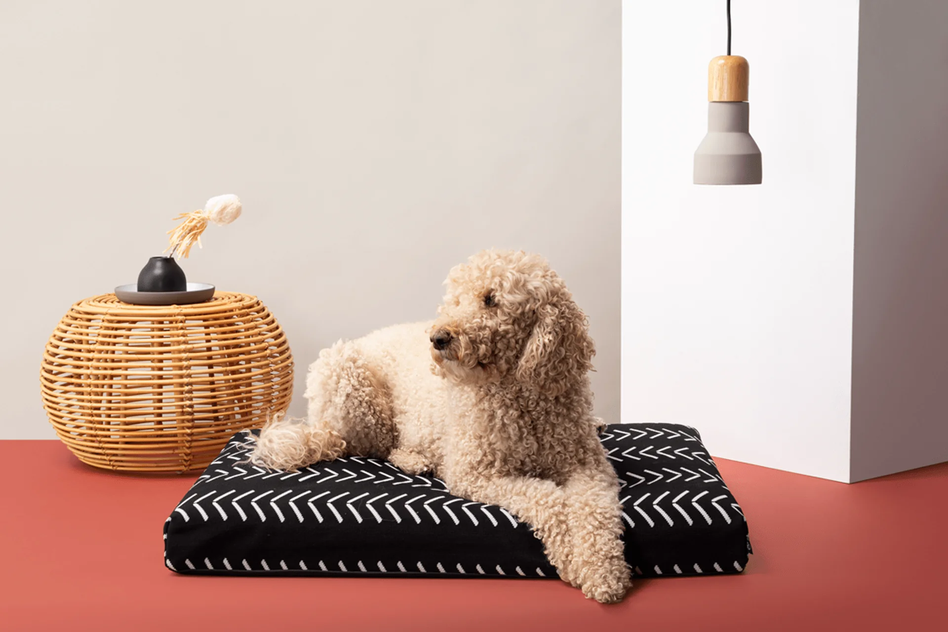 Lay Lo Dog Bed - Image 4