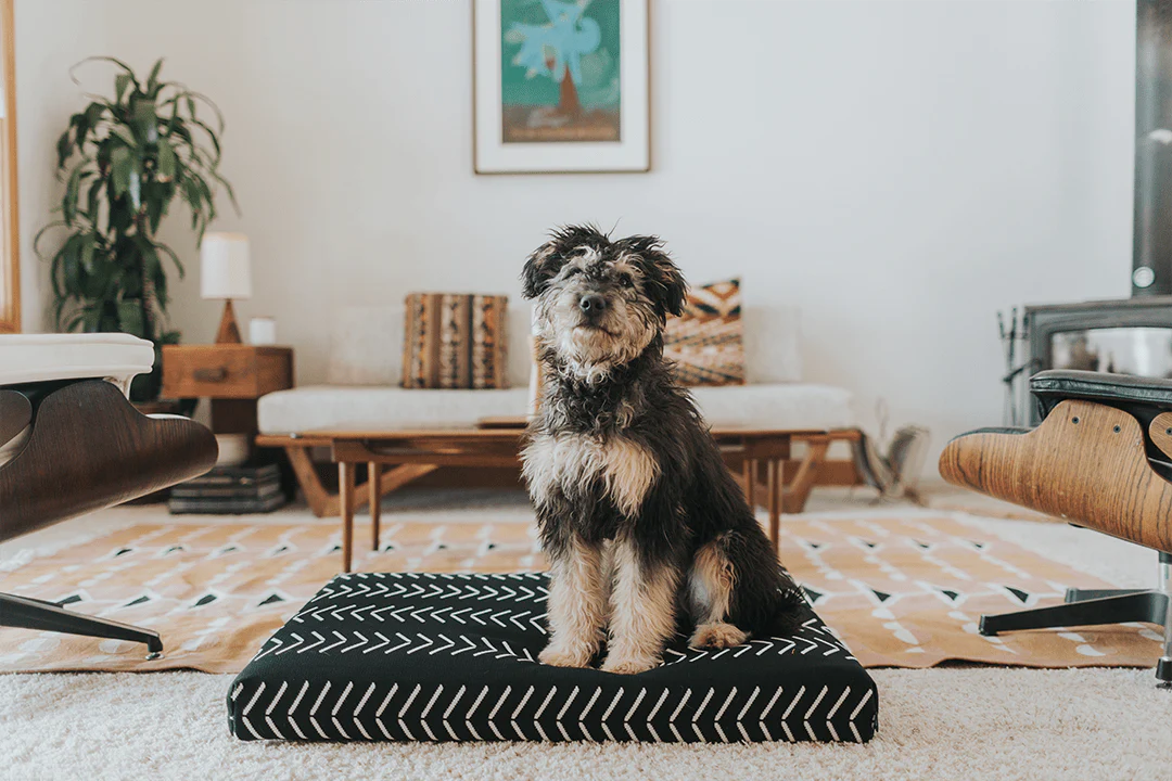 Lay Lo Dog Bed - Image 5