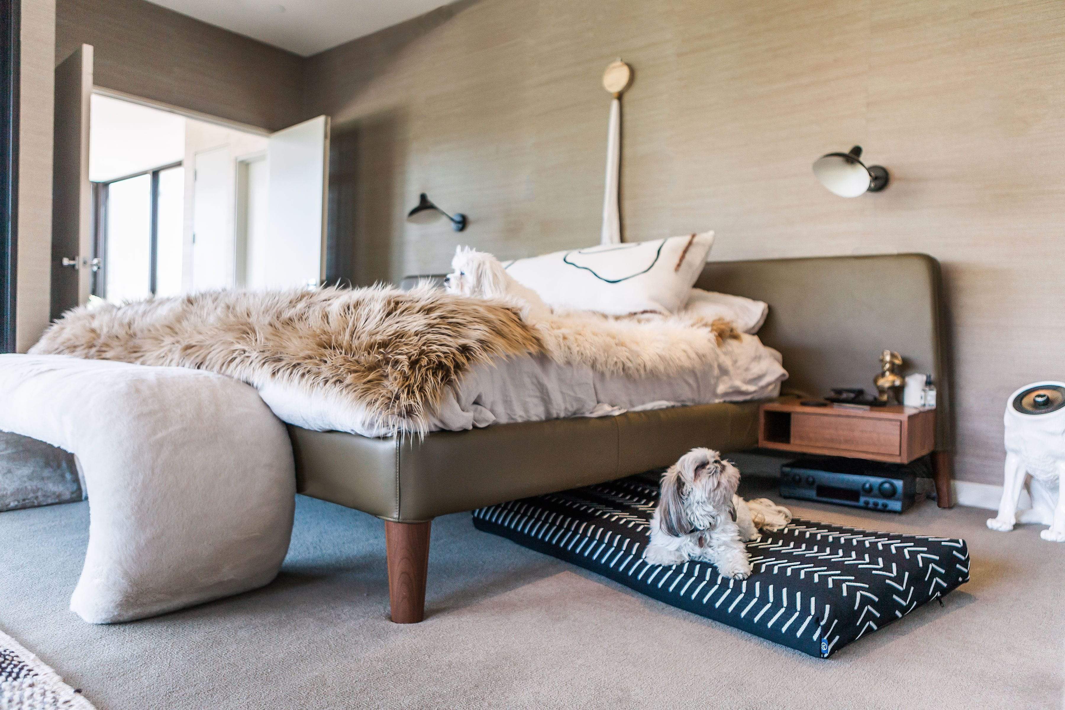 Lay Lo Dog Bed - Image 6