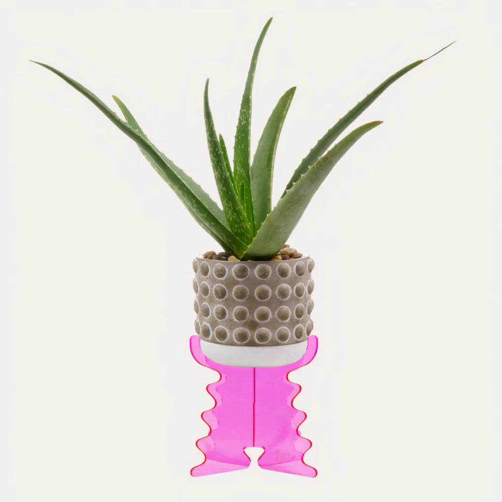 Moodio Ripple Plant Riser Acrylic Stand