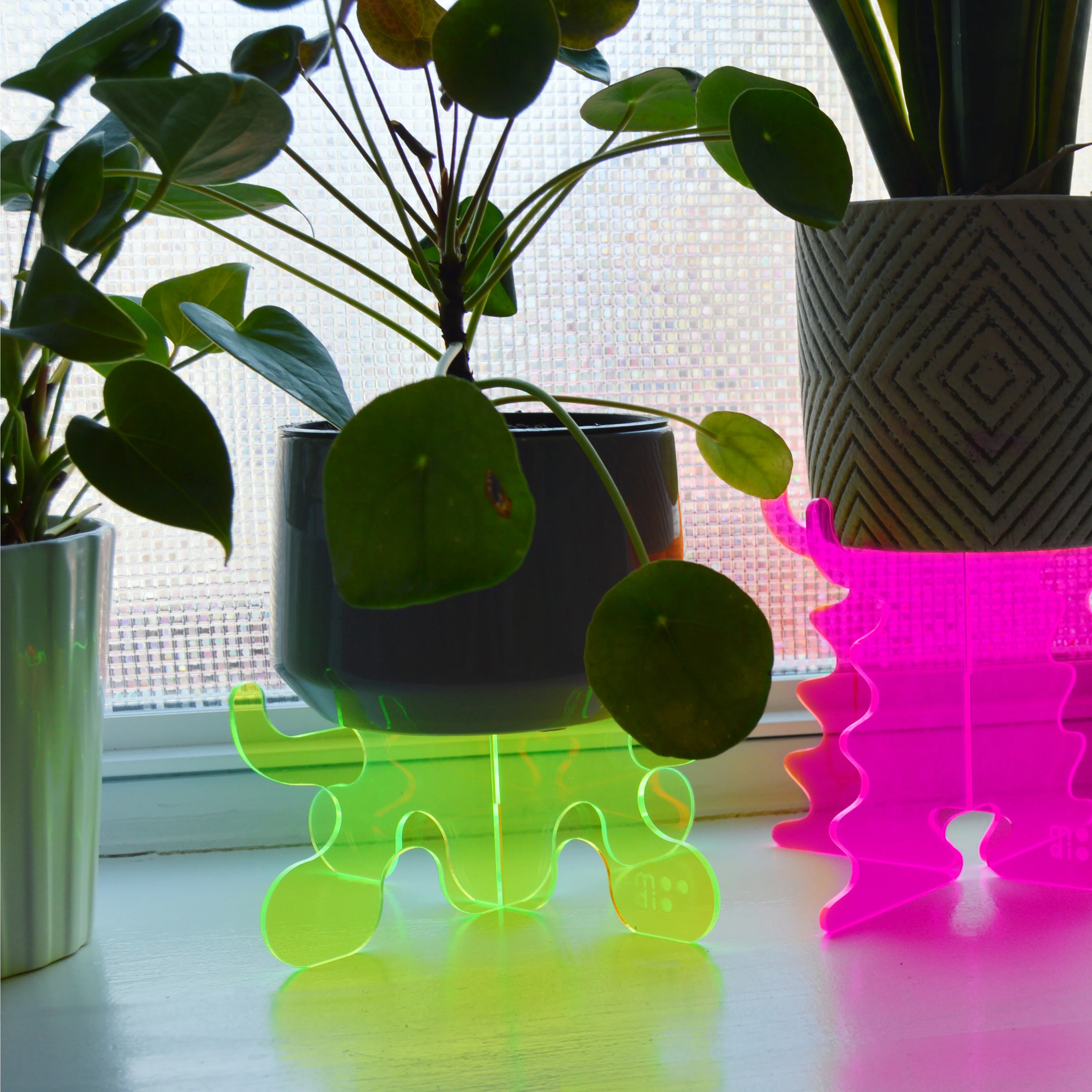 Moodio Ripple Plant Riser Acrylic Stand - Image 5
