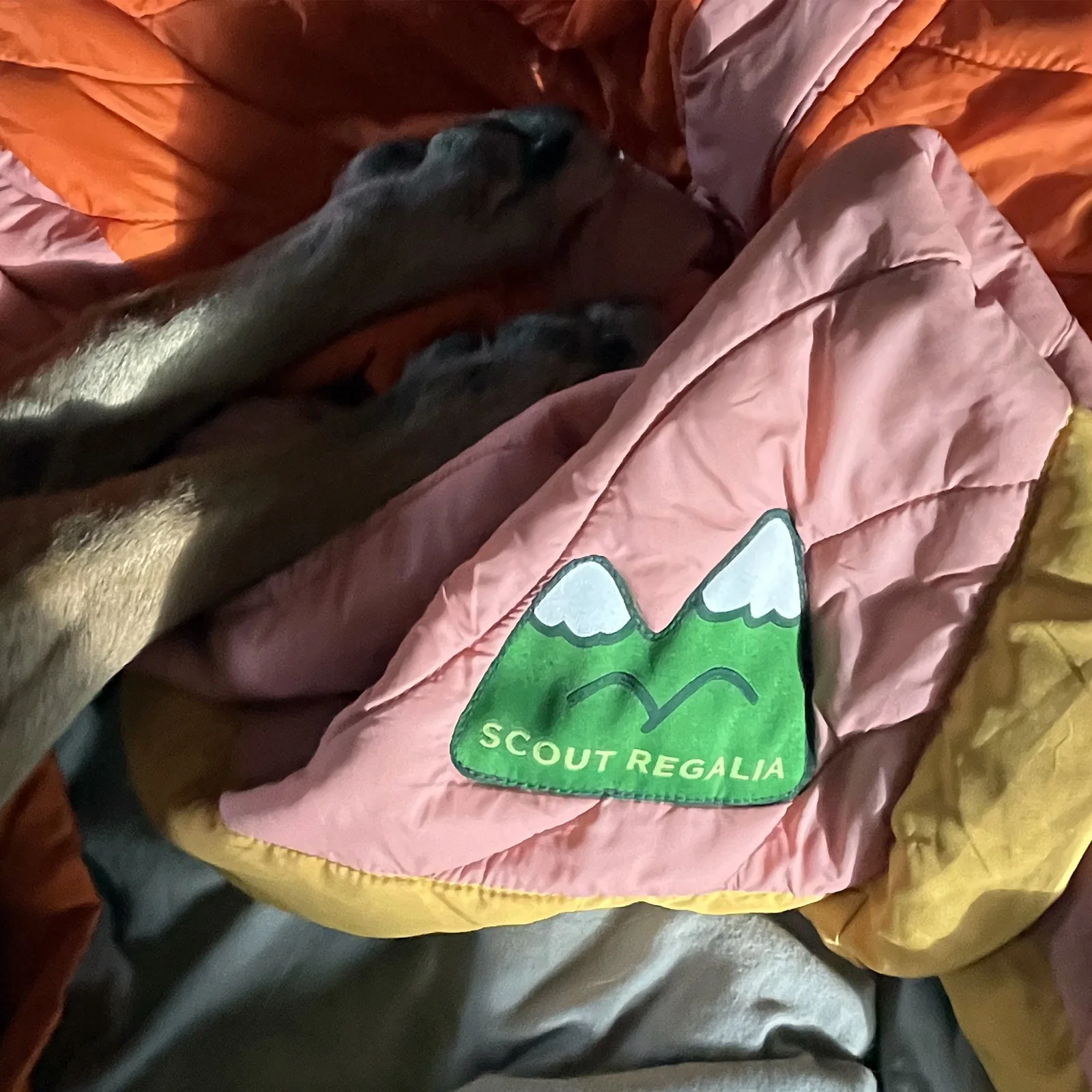 Scout Regalia Anywhere Blanket - Image 5
