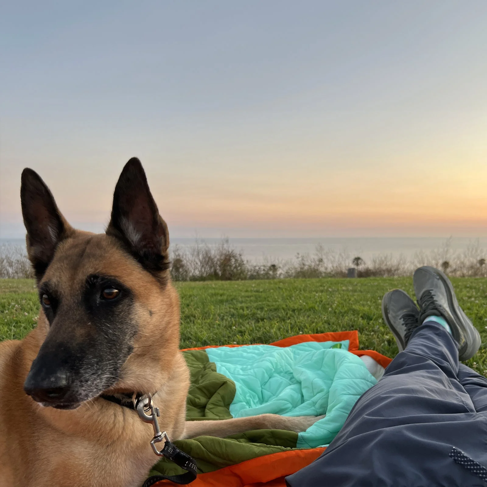 Scout Regalia Anywhere Blanket - Image 6