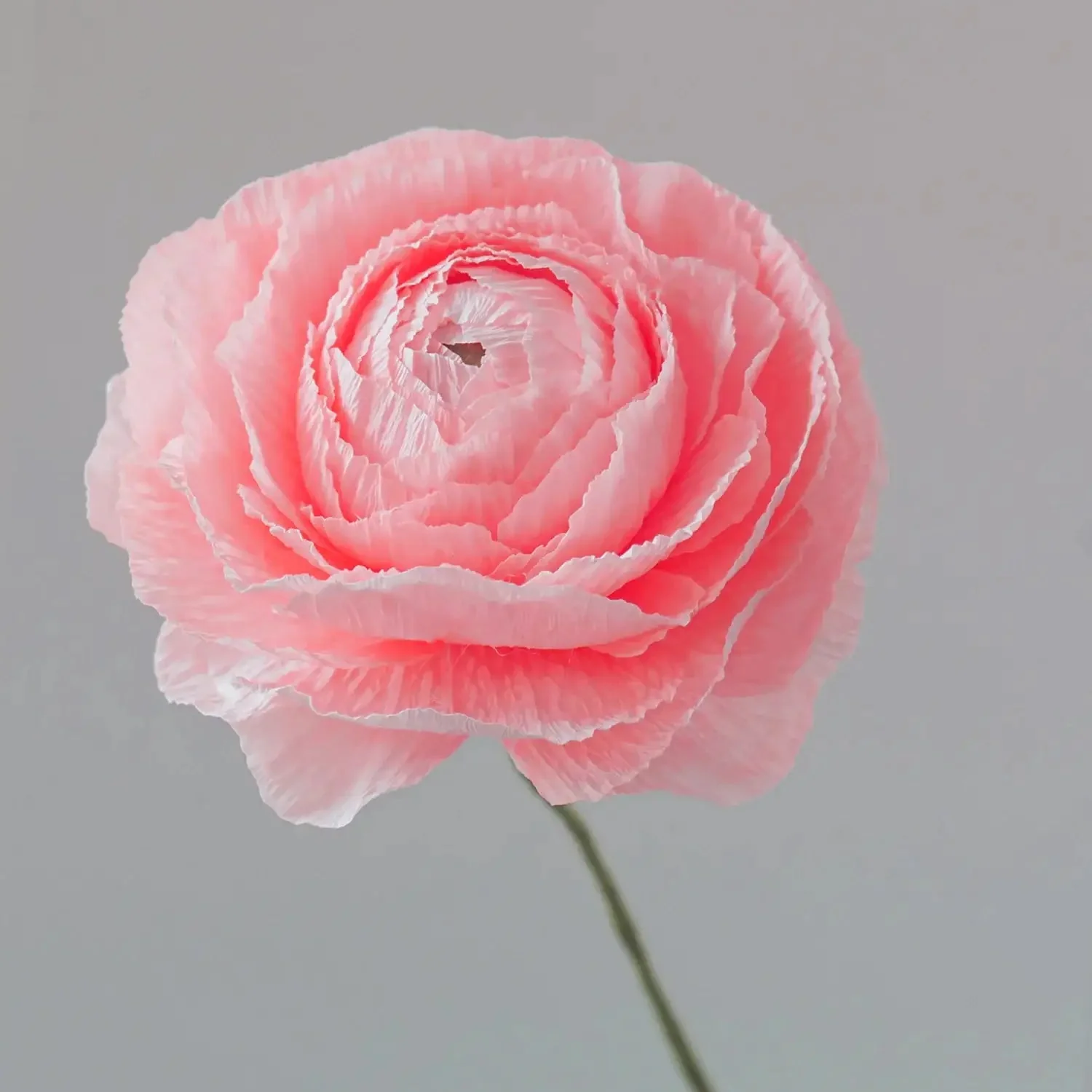 Unwilted Paper Flowers