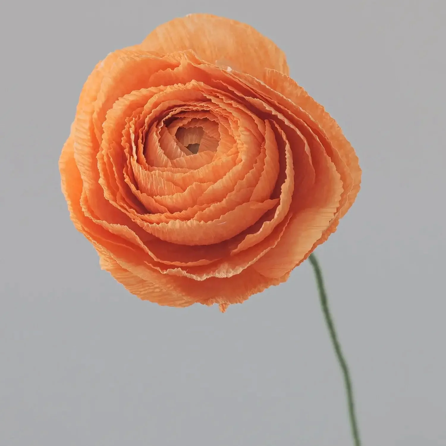 Unwilted Paper Flowers - Image 10