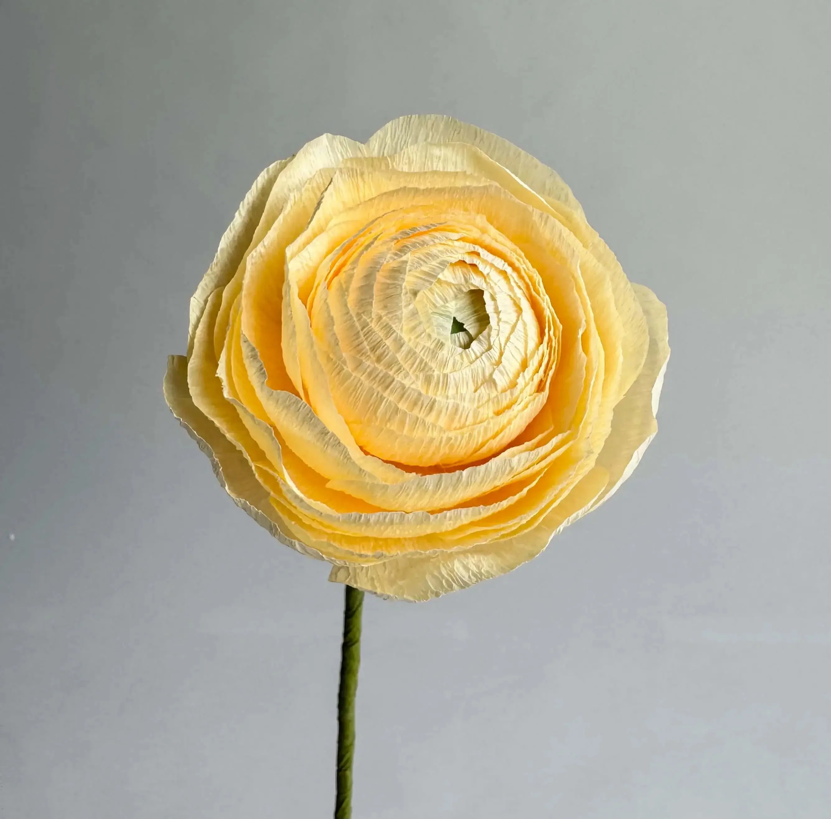 Unwilted Paper Flowers - Image 12