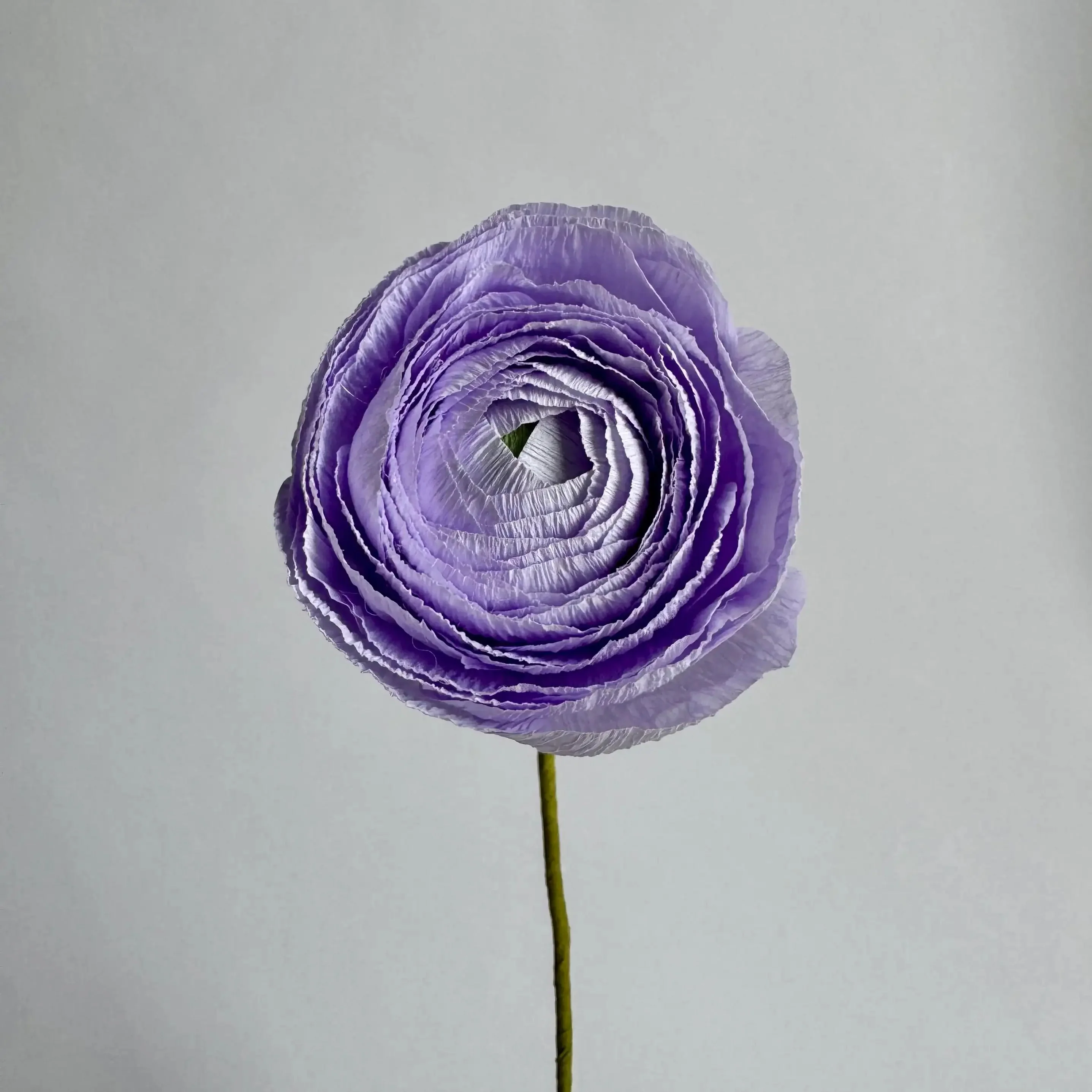 Unwilted Paper Flowers - Image 13