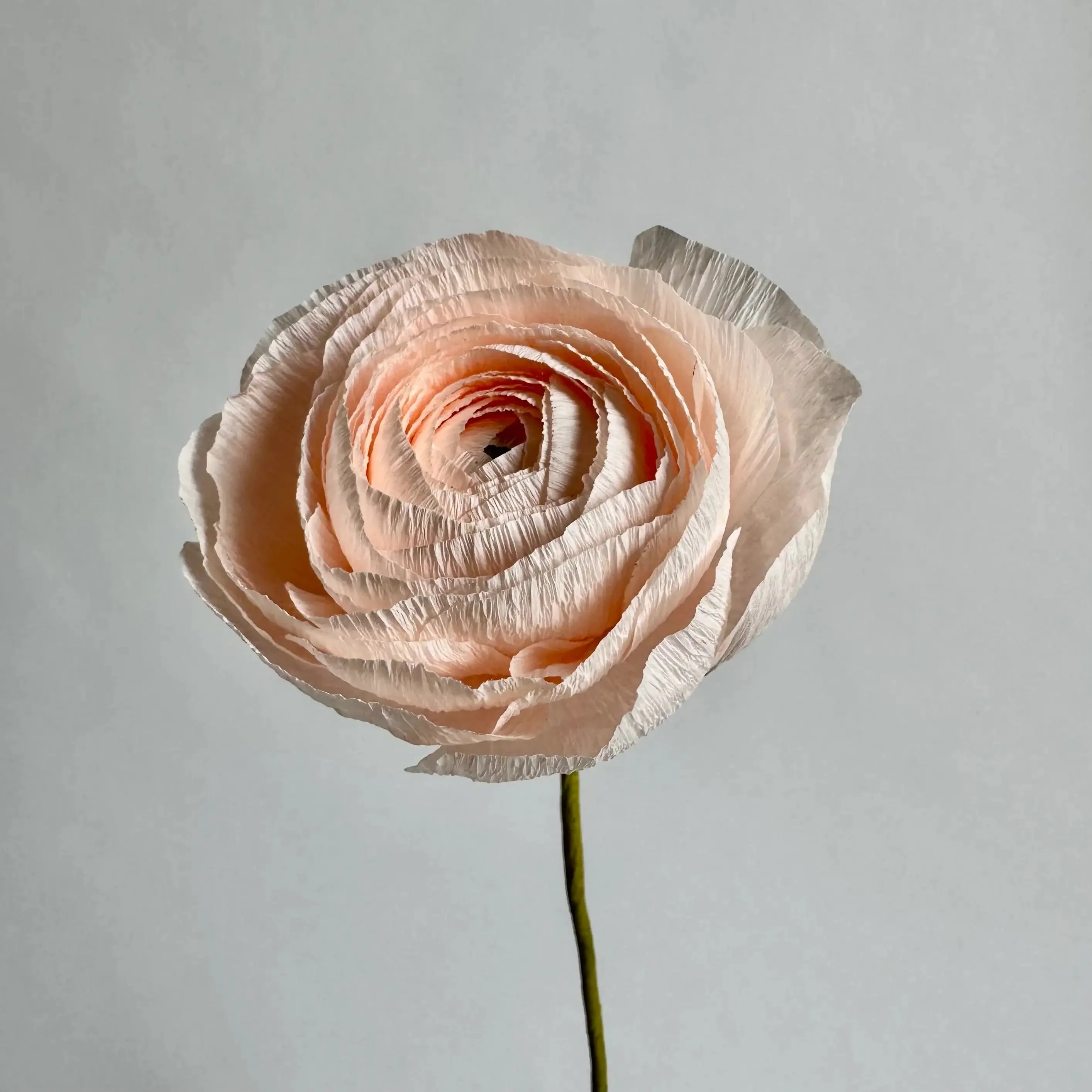 Unwilted Paper Flowers - Image 14