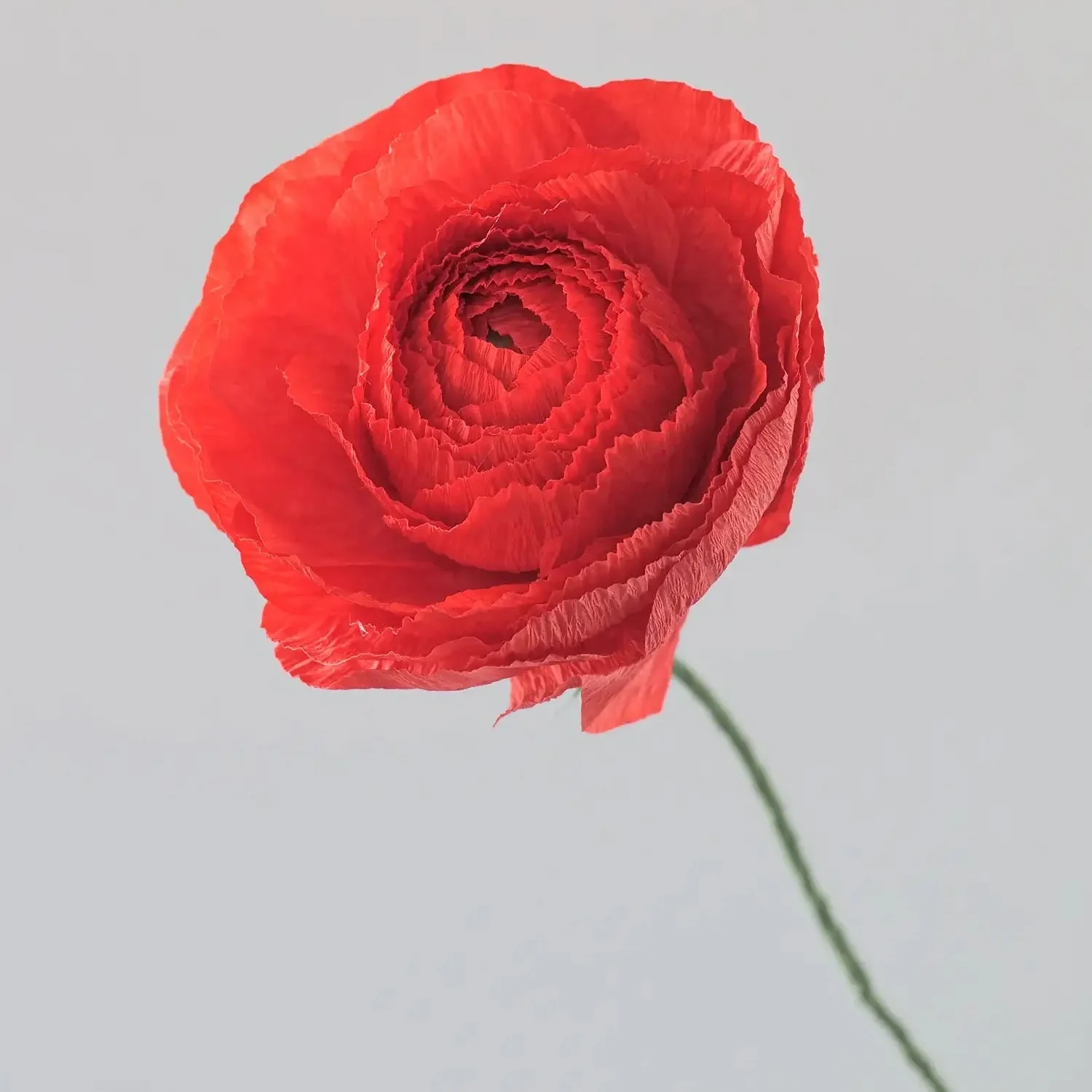 Unwilted Paper Flowers - Image 4