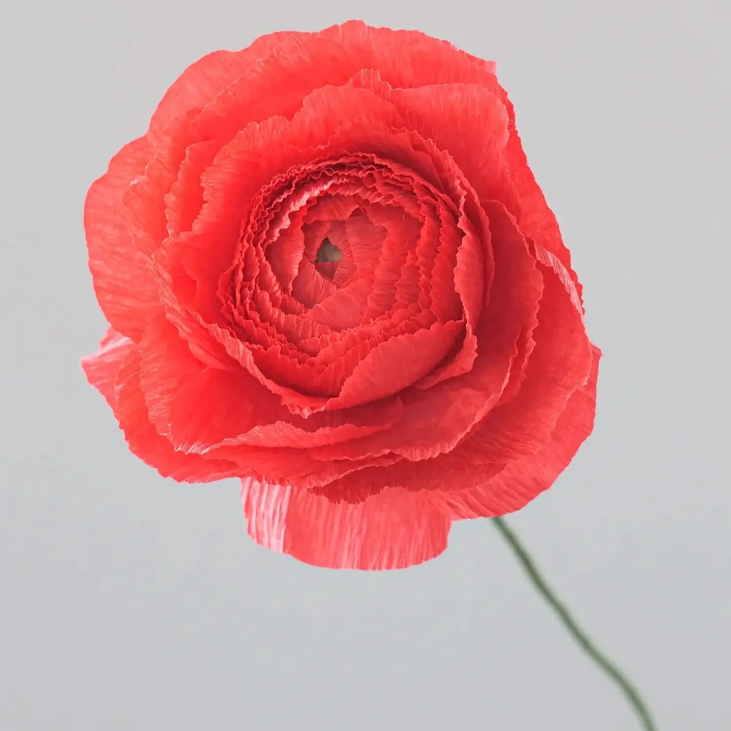 Unwilted Paper Flowers - Image 5