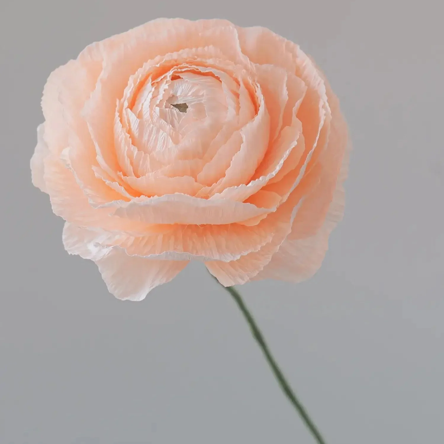 Unwilted Paper Flowers - Image 6