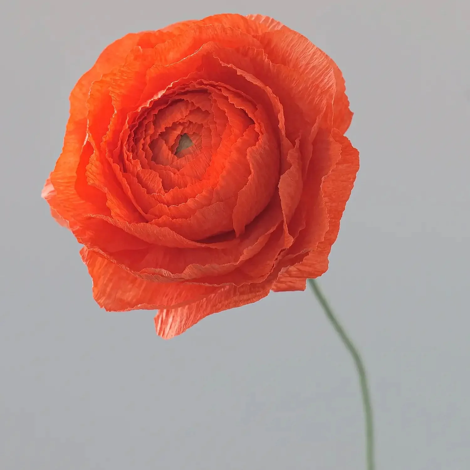Unwilted Paper Flowers - Image 7