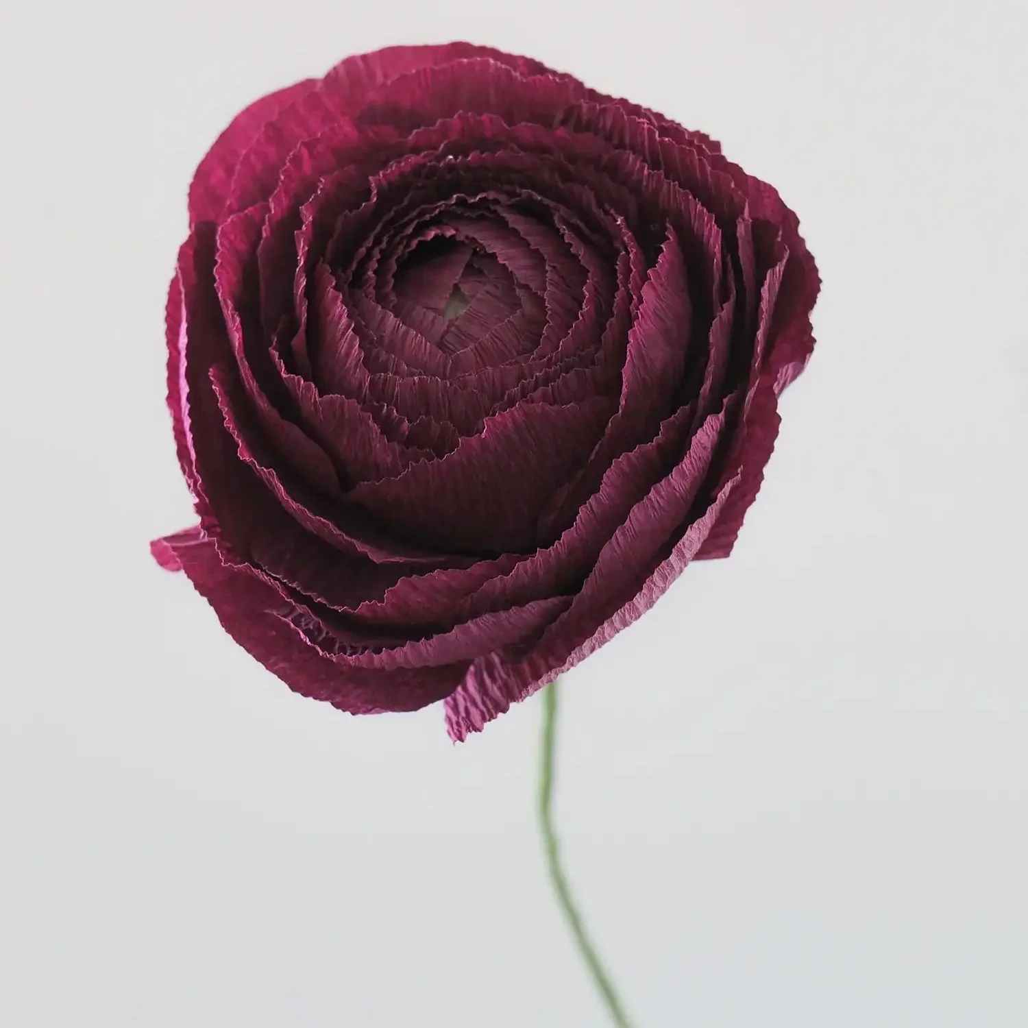 Unwilted Paper Flowers - Image 8