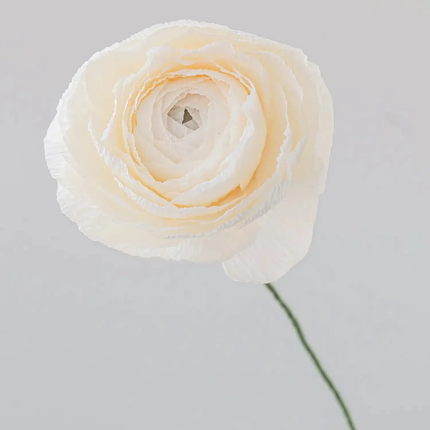 Unwilted Paper Flowers - Image 9